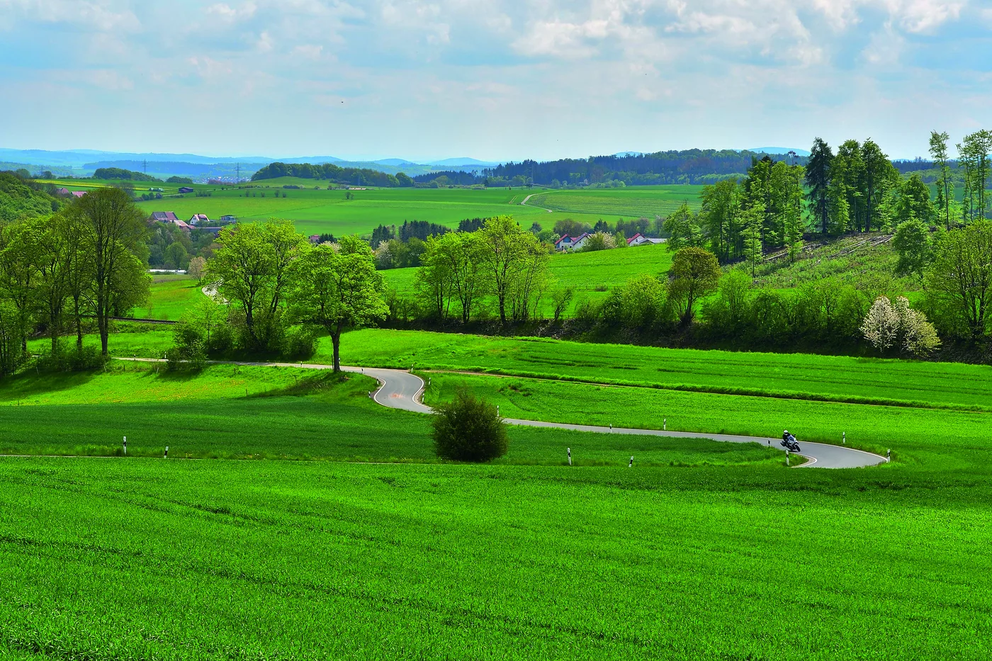Sanfte grüne Feldlandschaft mit Baumgruppen und Wegen